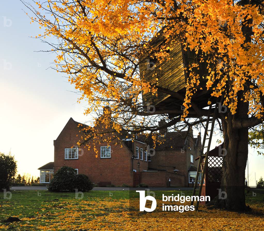 Cobtree Manor, Dingley Dell
