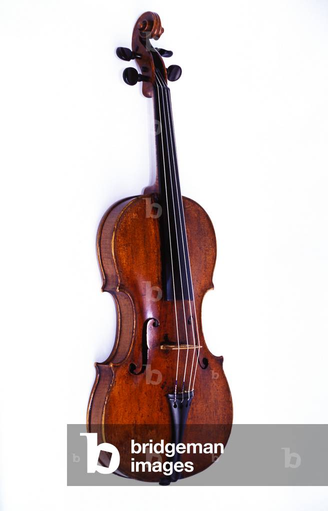 INSTRUMENTS - STRING -