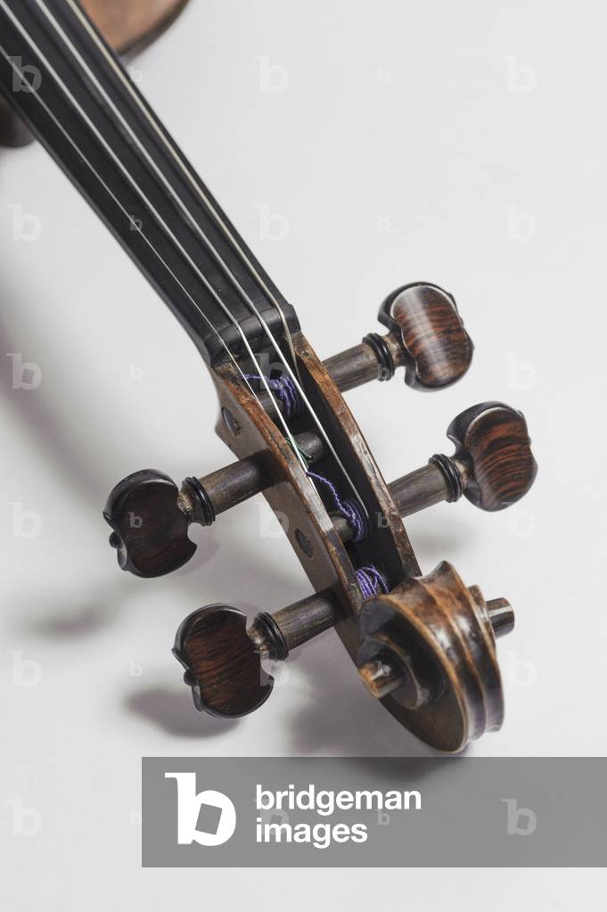 Violin, scroll