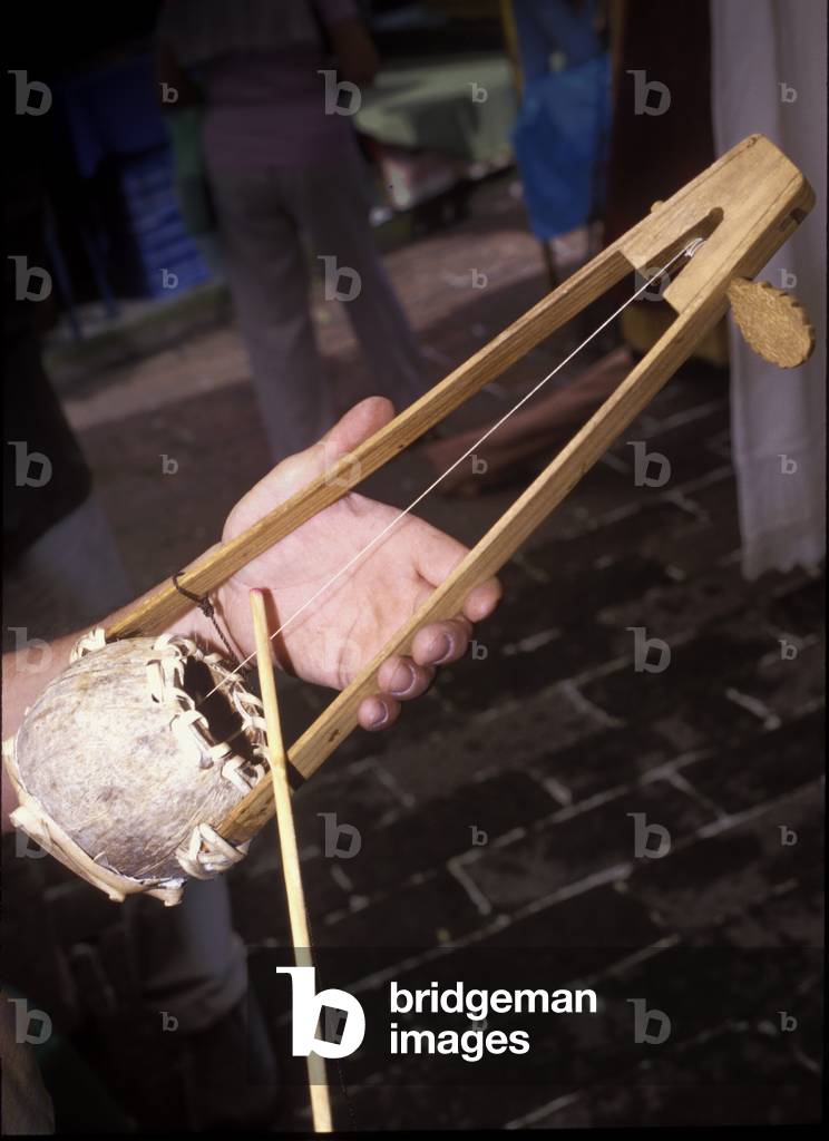 Mexican traditional folk instrument: hectar