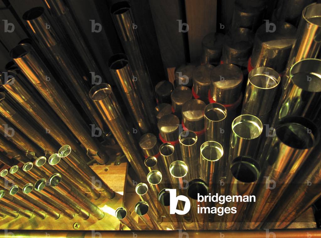 chamber organ pipes
