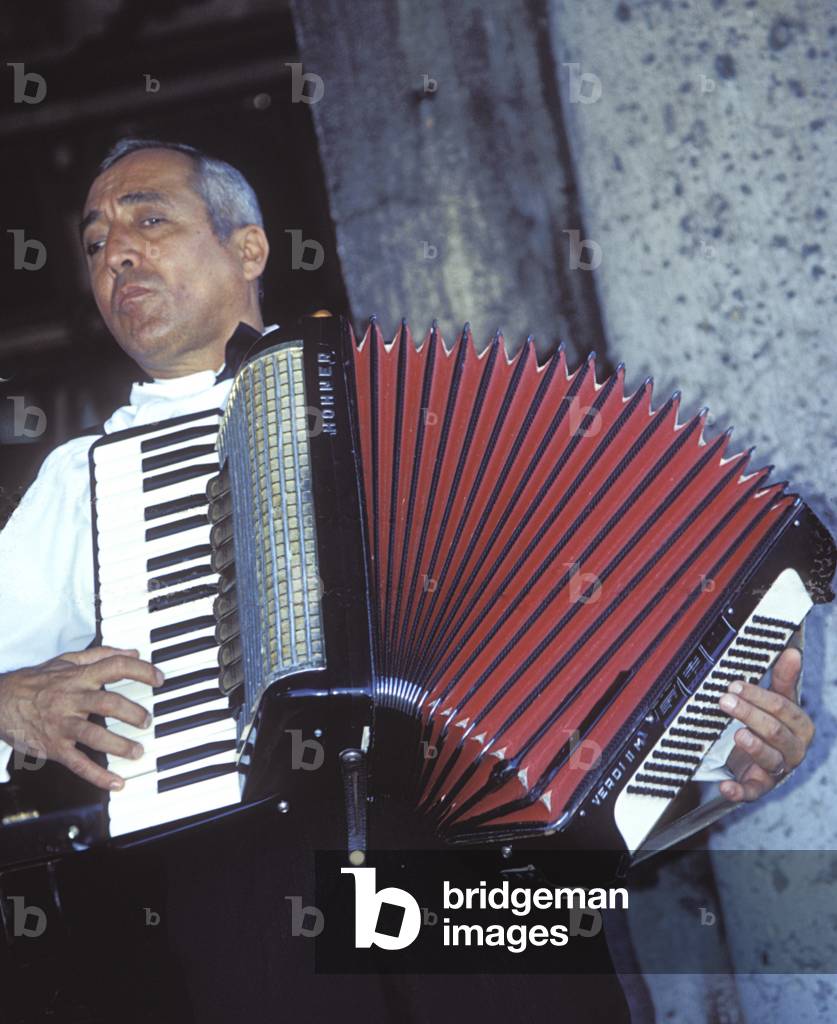 Accordion / accordeon (Hohner)