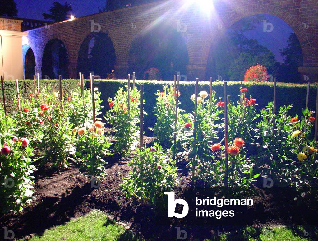 Flowerbeds in Holland Park
