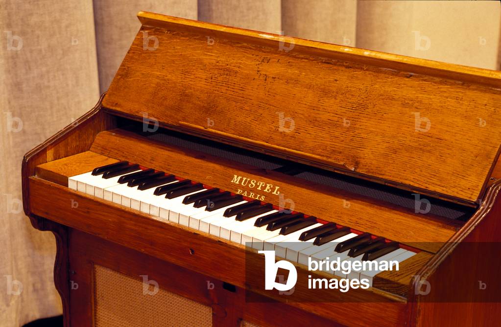 instruments - keyboard -