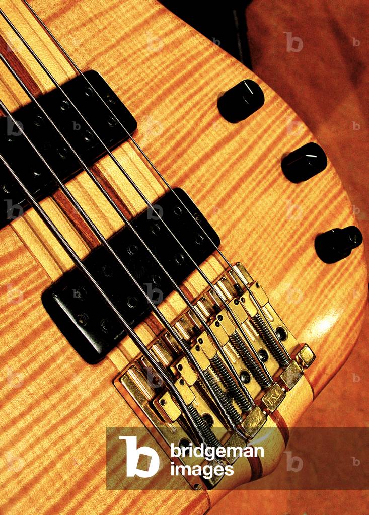 Electric bass guitar -