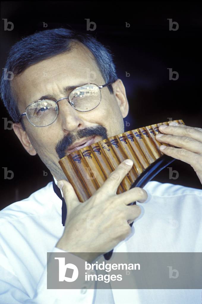 Pan pipes - musician
