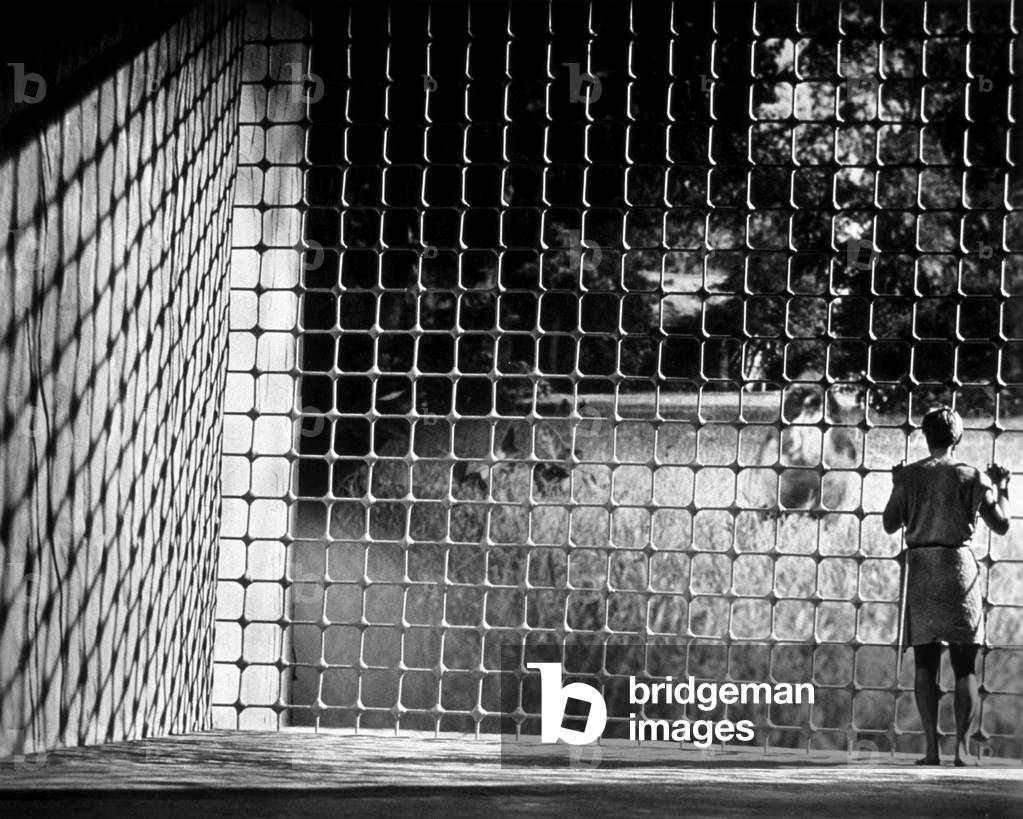 The man who retreated