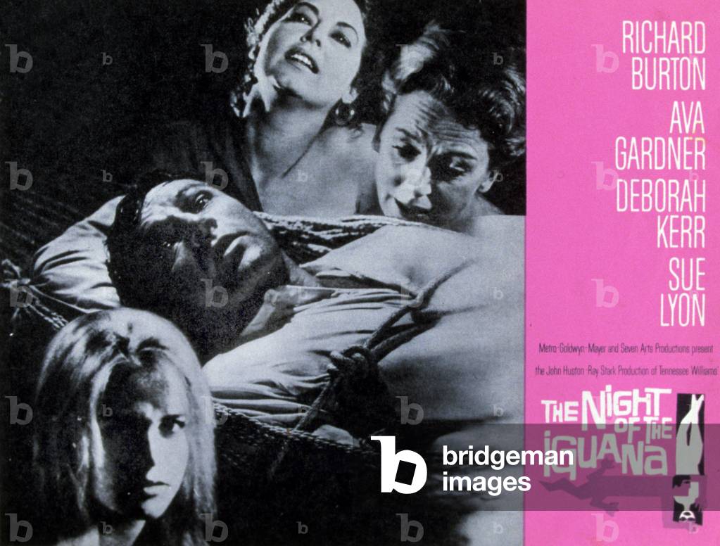 The night of the iguana