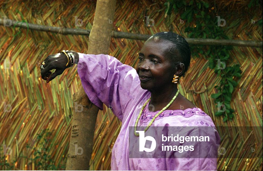 Aminata Sow Fall, November 25, 2006 