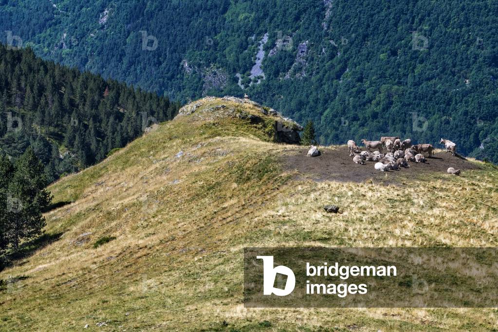 Treking in Via verde del Carrilet greenway at Estany gento lagoon reservoir, Tren dels Llacs, Spain, 2021 (photo)