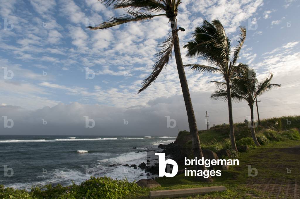 Landscape between Kahakuloa and Honokohau, Maui, Hawaii (photo)