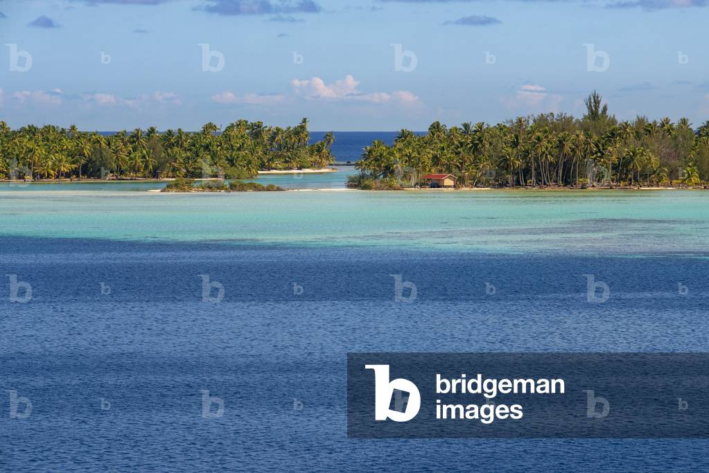Tropical paradise seascape Taha'a island landscape, French Polynesia, Motu Mahana palm trees at the beach, Taha'a, Society Islands, French Polynesia, South Pacific, 2020 (photo)
