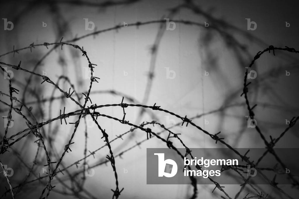 Concertina wire in Berlin Wall Memorial, photos of people killed by border guards escaping East Berlin Prenzlauer Berg, Berlin, Germany  (photo)