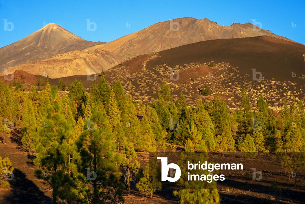 Mountain landscape at Las Canadas, Parque Nacional del Teide, Tenerife, Canary Islands, Spain (photo)