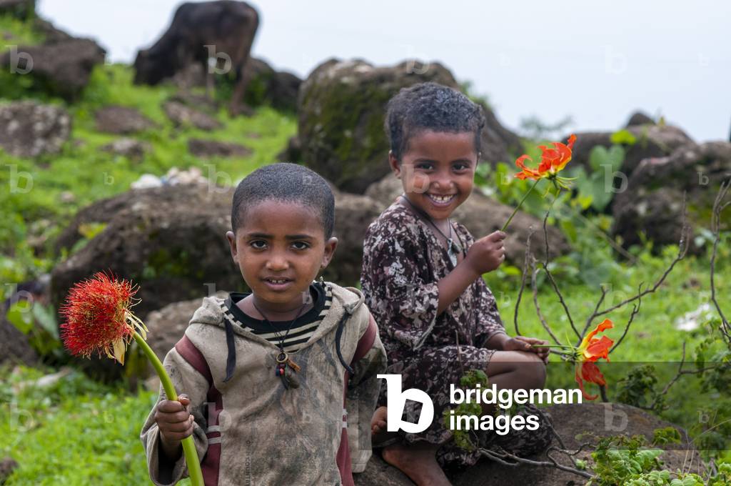 Children working. Rural landscape near the Tis Isat Blue Nile Falls of the farmland near Bahir Dar in Ethiopia (photo)