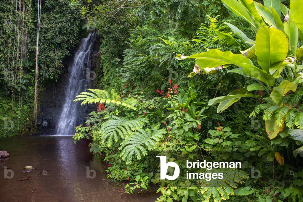 Fautaua waterfall, Les Rivières de Tahiti, Fauoro river in Teahupoo, Papeete Tahiti nui French Polynesia France, 2020 (photo)