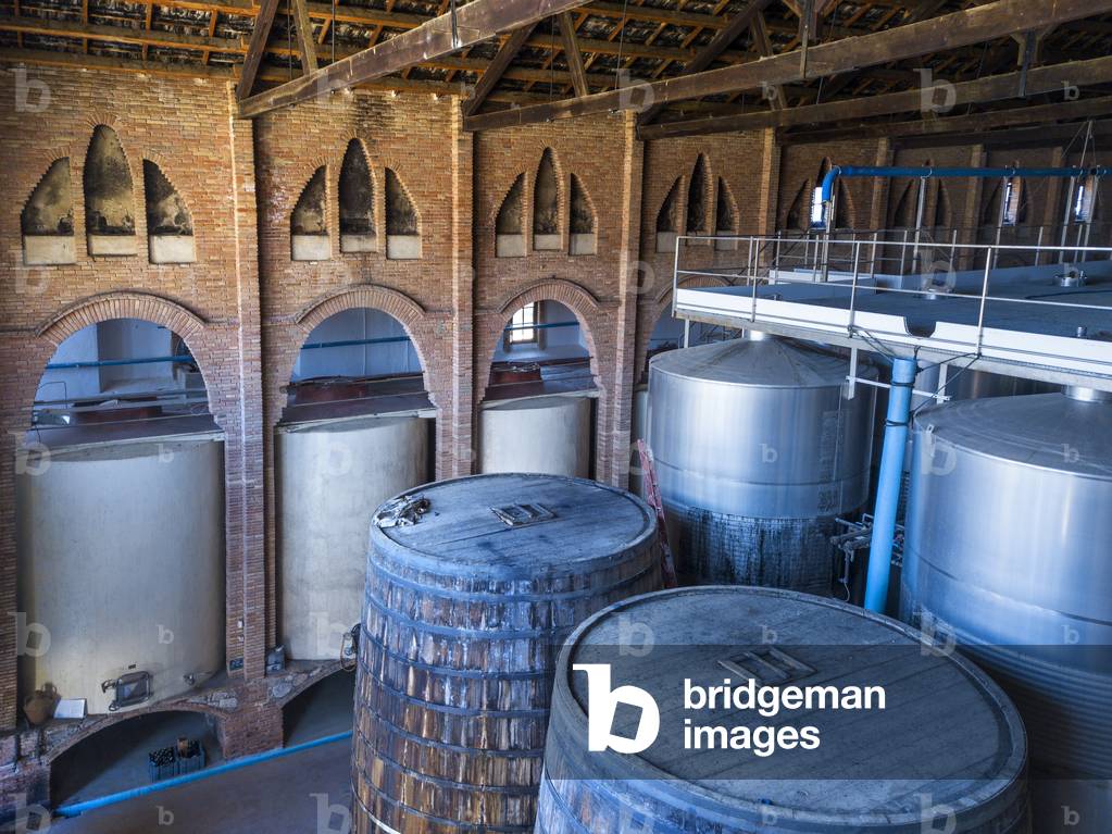 Wine barrels in Falset Cooperative Wineries Priorat, TARRAGONA, 2021 (photo)