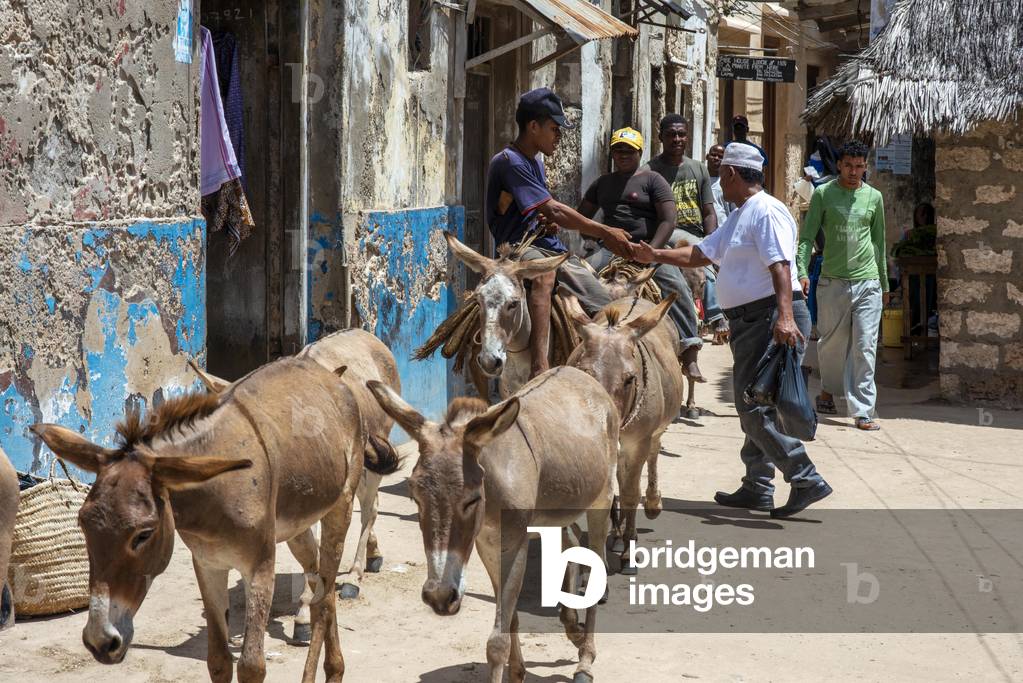 Men riding donkeys on the main street of Lamu town in Lamu Island, Kenya, 2020 (photo)