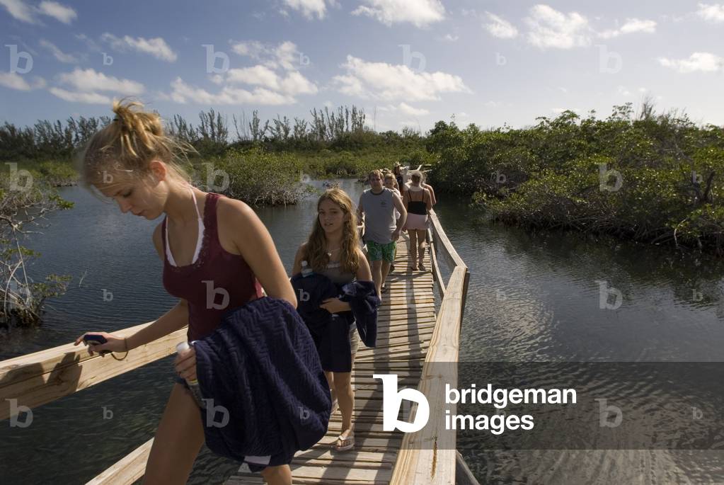 Grand Bahama, Bahamas, Bahamas (photo)