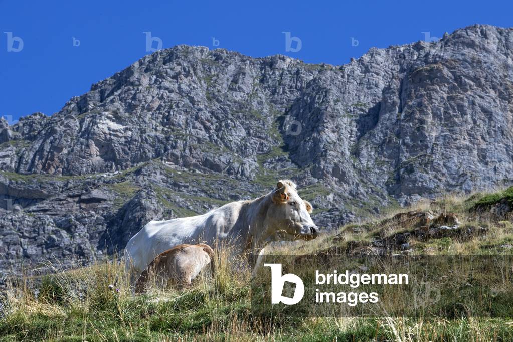 Treking in Via verde del Carrilet greenway at Estany gento lagoon reservoir, Tren dels Llacs, Spain, 2021 (photo)
