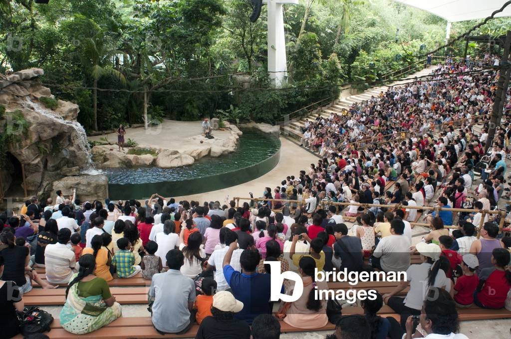 Sea lion Show Singapore zoo Singapore, Singapore (photo)