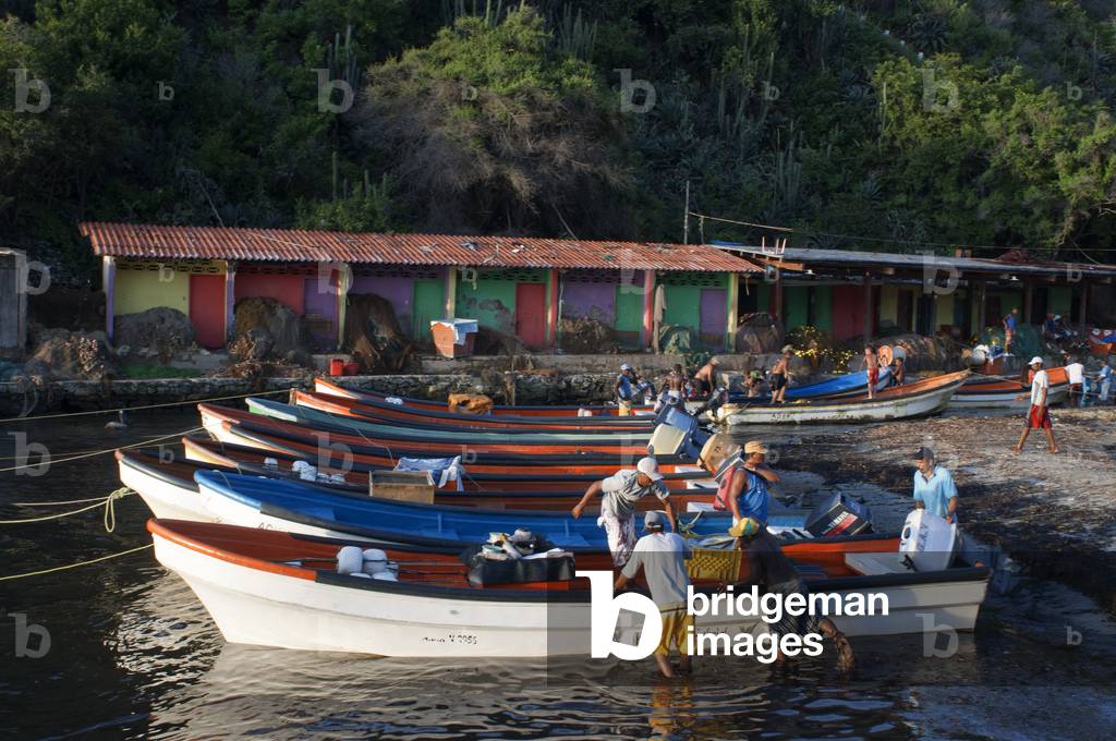 Harbour of Choroni beach in Falcon state in Venezuela - Henri Pittier National Park, in Venezuela.  (photo)