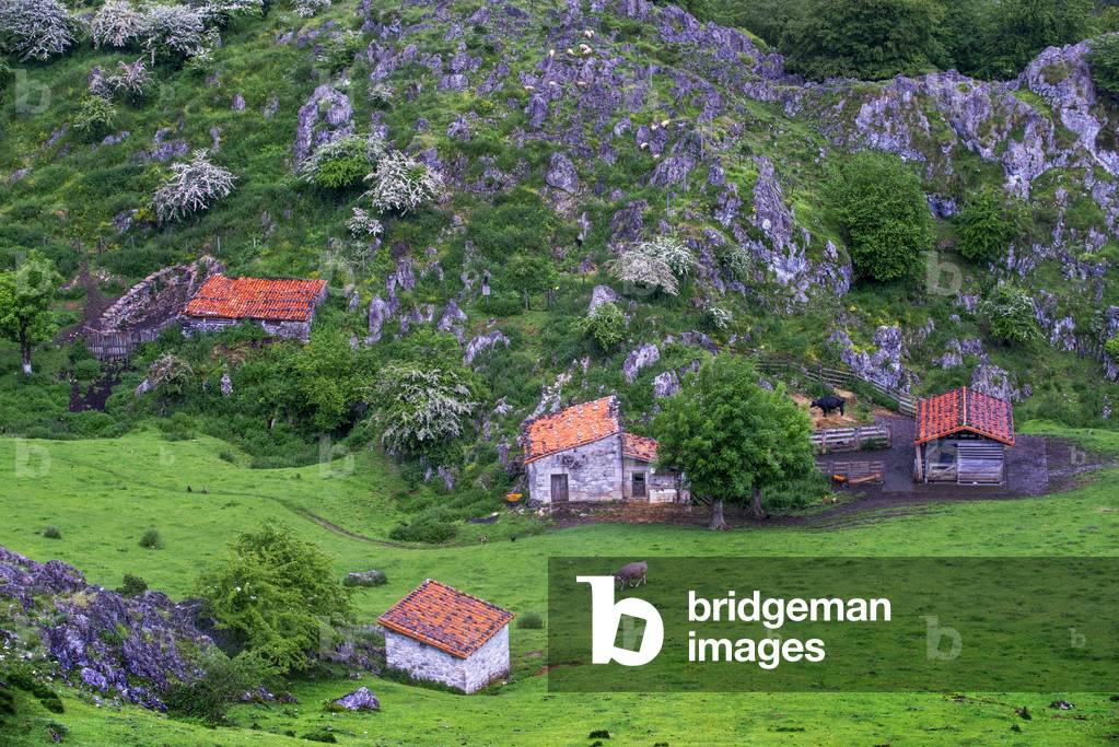 Old farm and houses Covadonga lakes, NORTH OF SPAIN, 2021 (photo)
