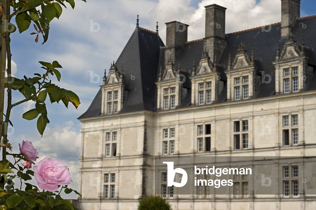 The castle and the gardens of Villandry, Loire Valley, France (photo)