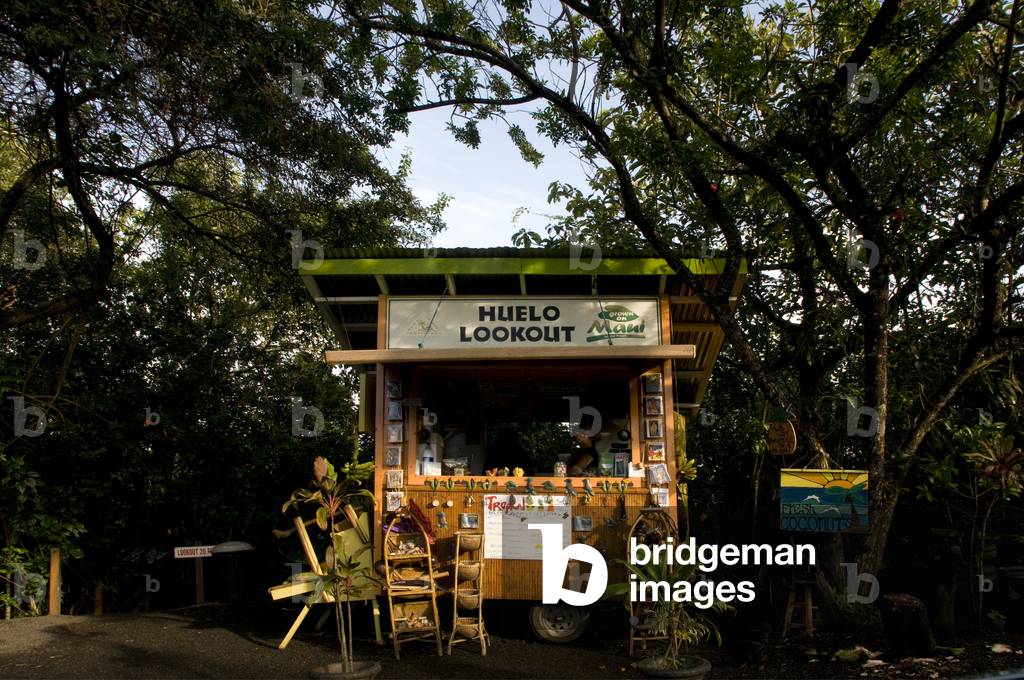 Huelo Lookout fruit stand on the road to Hana, Maui, Hawaii (photo)