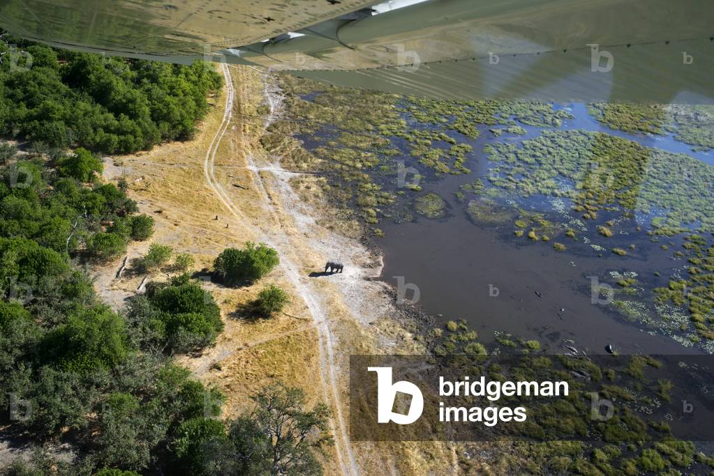 Aerial View, Savute Elephant Camp, Chobe National Park, Botswana  (photo)