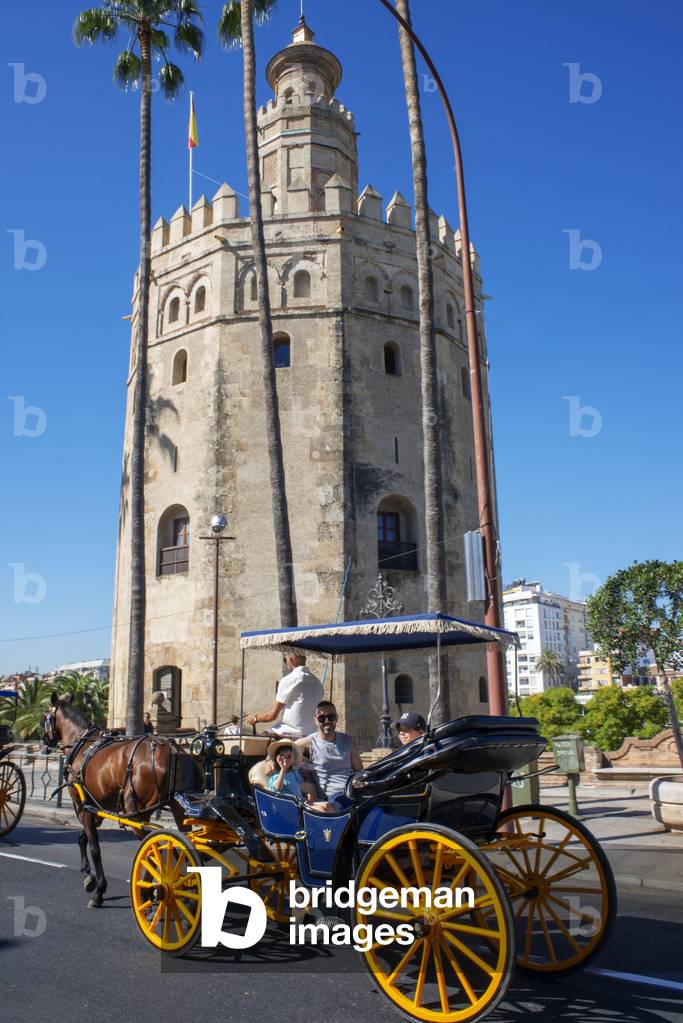 Horse and carriage ride with Seville Torre del Oro, view of the Moorish Torre del Oro Tower of Gold in the old city quarter of Sevilla, Andalucia, Spain (photo)