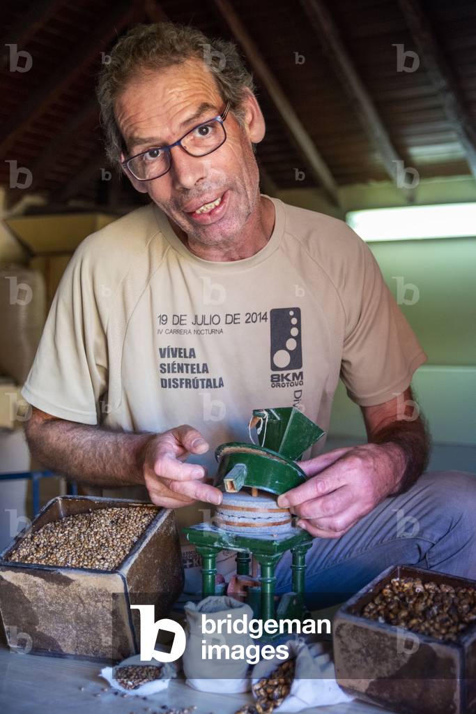 Shop and old water driven mill where toasted corn is ground to make a flour called gofio in a traditional manner in La Orotava, Tenerife Island, Canary Islands, Spain (photo)