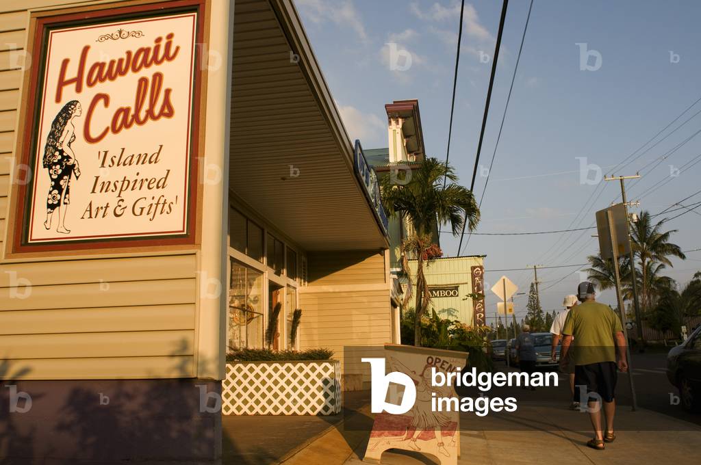Typical houses and shops in Hawi, Big Island, Hawaii (photo)