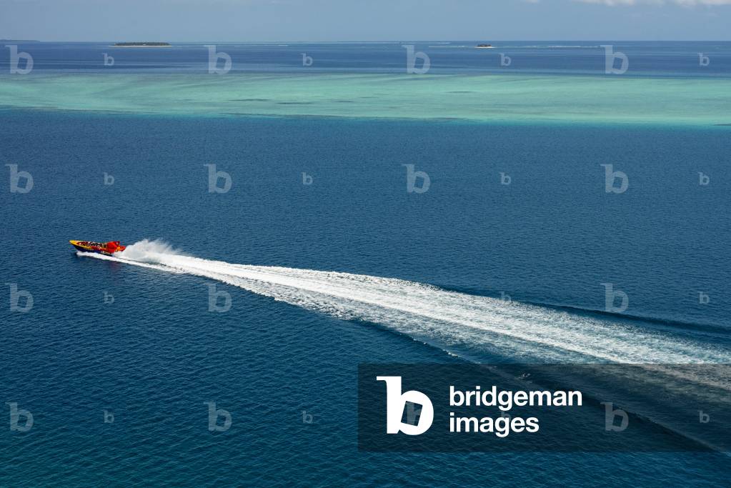 Fiji islands boat experience, Excitor is the fastest boat of its size and kind in Fiji and definitely not to be missed whilst visiting Fiji! Offering unique high-speed tours and transfers around Port Denarau and the Mamanuca Islands, 2020 (photo)