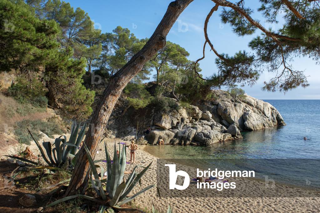 Platja d'Aro, Cala del Pi beach in Costa Brava, Cami de ronda, Girona province, Catalonia, Spain (photo)