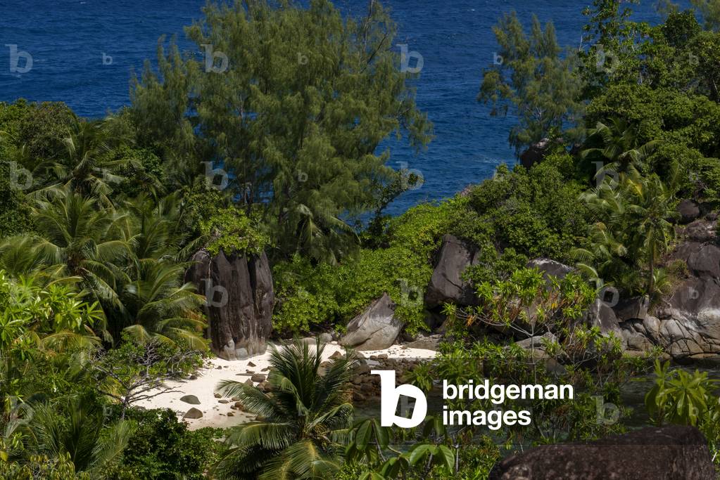 Private beach of Constance Ephelia Port Launay Mahe island Seychelles (photo)