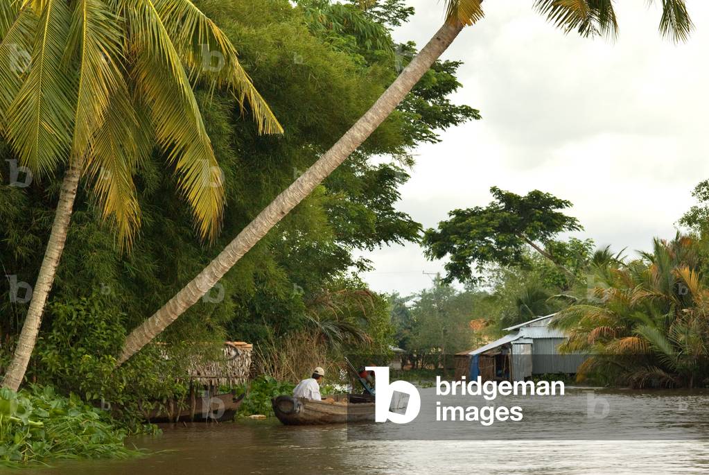 Mekong River delta, Phong Dien District, Can Tho, Vietnam (photo)