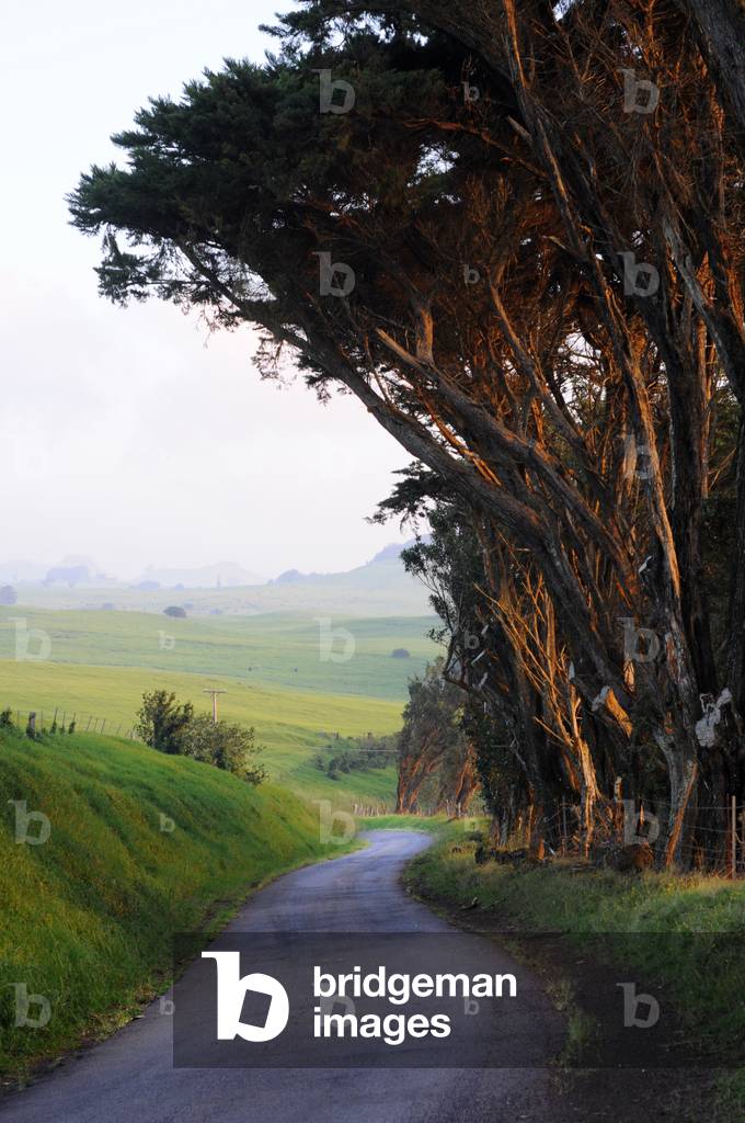 Road by one of the many ranches near Waimea, Big Island, Hawaii (photo)