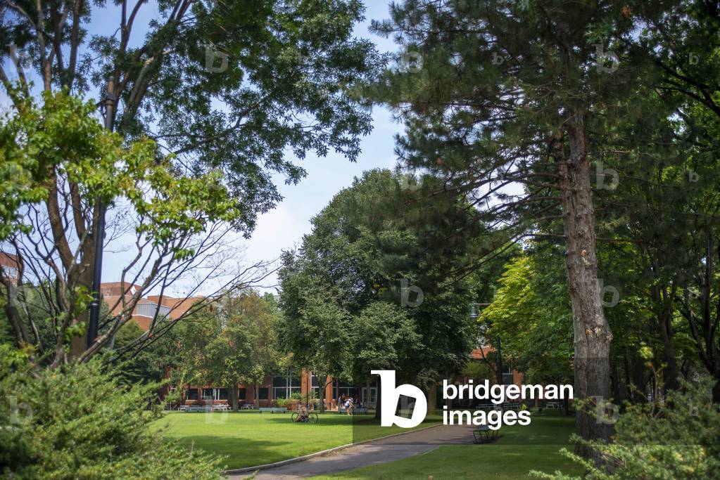 John Fitzgerald Kennedy park, Cambridge, Boston, USA 2021 (photo)