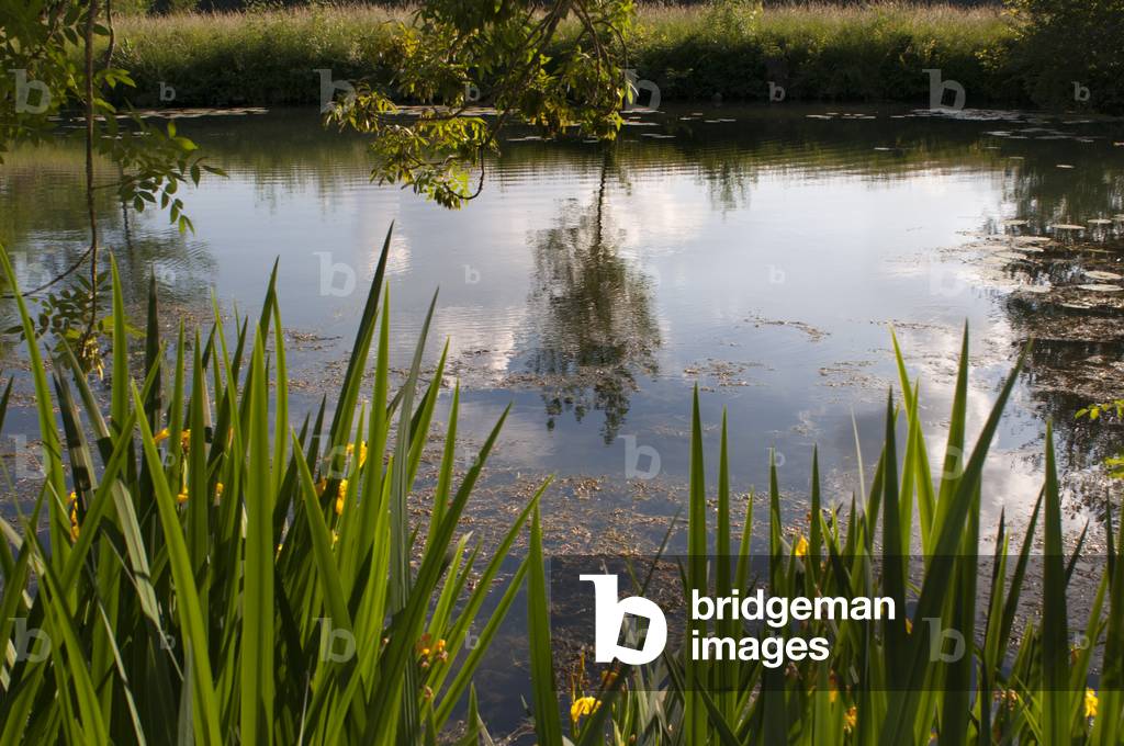 Beautiful landscape at sunset Azay le Rideau, Loire Valley, France (photo)