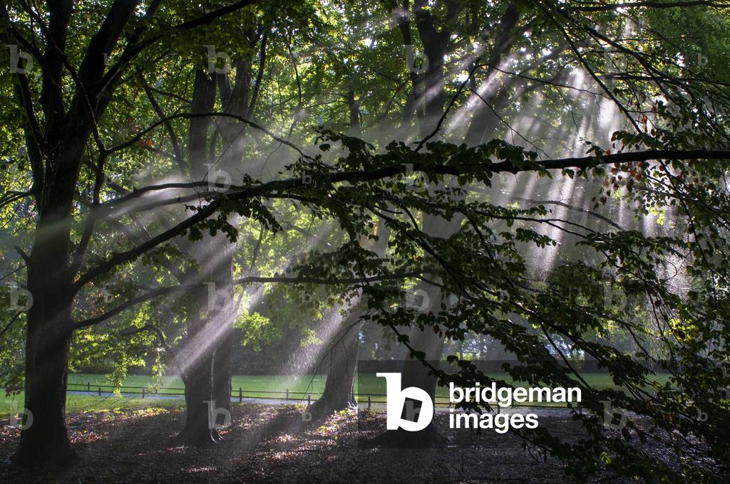 Public park nature Tiergarten central city garden in Berlin, Germany (photo)