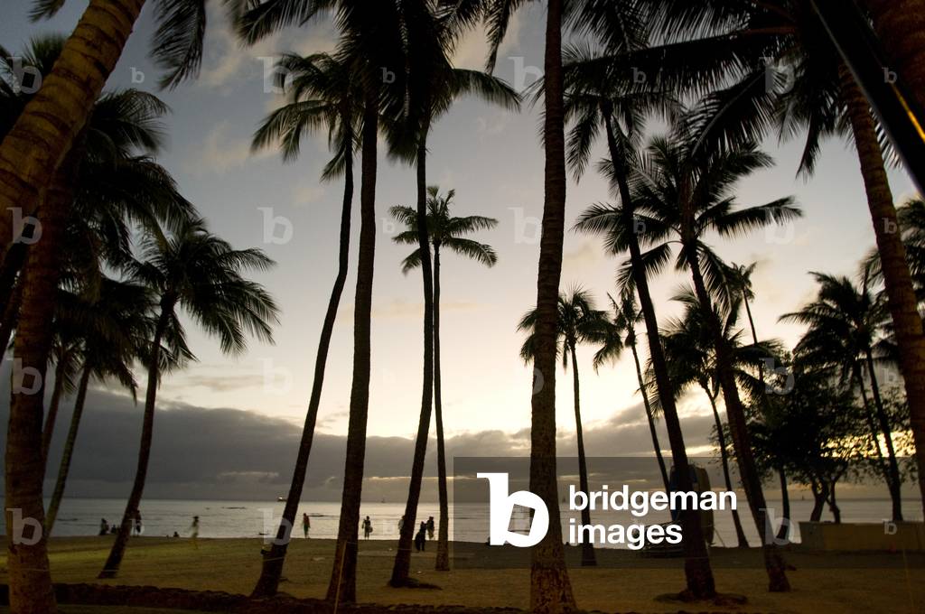 Sunset at Waikiki Beach, O'ahu, Hawaii (photo)