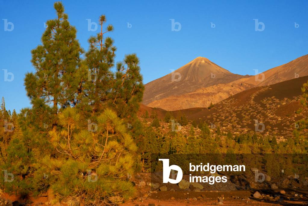 Teide peak and Mountain landscape at Las Canadas, Parque Nacional del Teide, Tenerife, Canary Islands, Spain (photo)