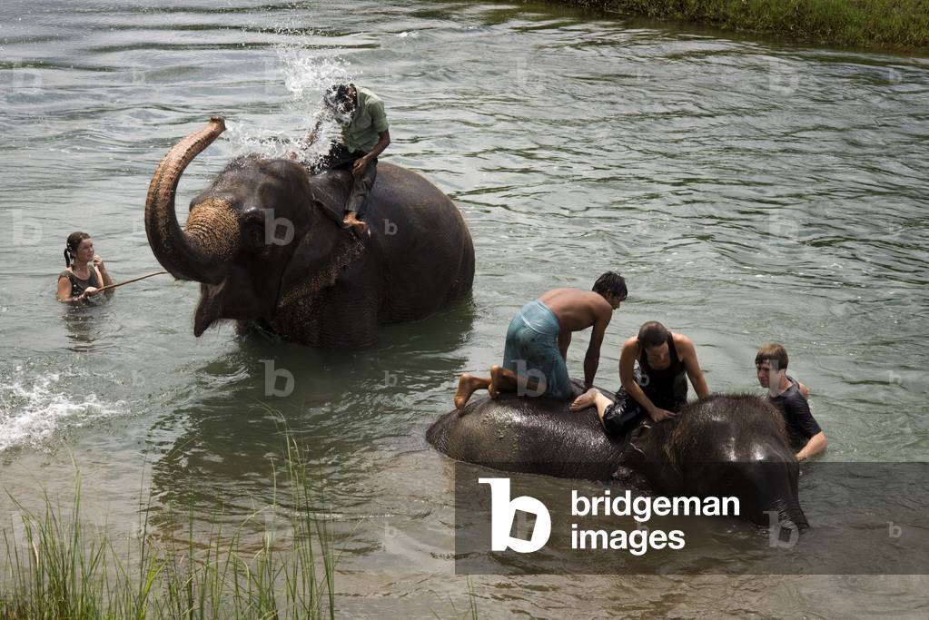 Elephant's bath with tourists, Rapti River, Chitwan National Park, Nepal (photo)