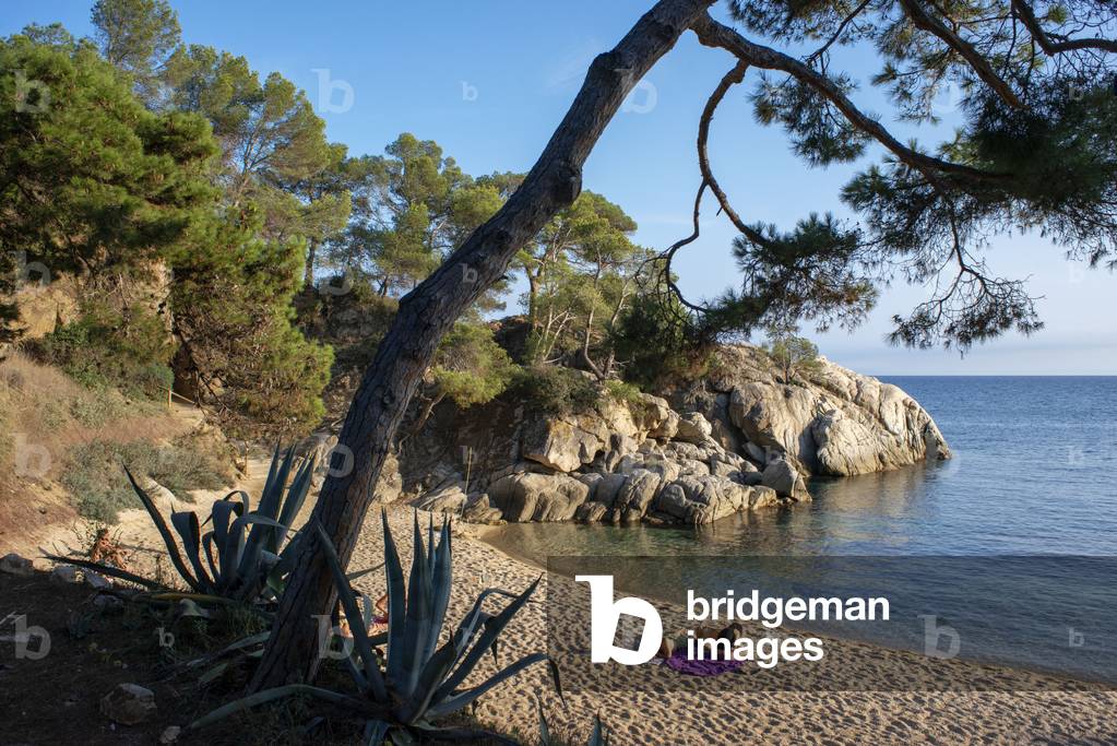 Platja d'Aro, Cala del Pi beach in Costa Brava, Cami de ronda, Girona province, Catalonia, Spain (photo)