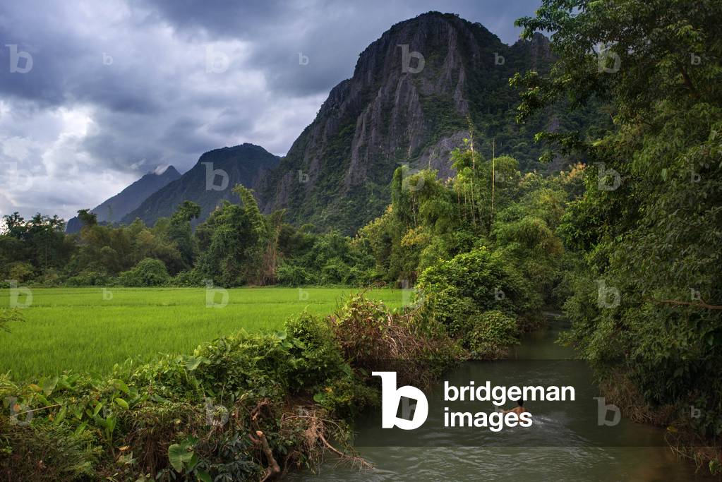 Rice terraces plantation near Vang Vieng, Laos (photo)