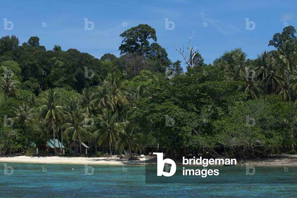 Koh Mook island or Ko Muk Island, Trang, Krabi, Thailand, Southeast Asia, Asia (photo)