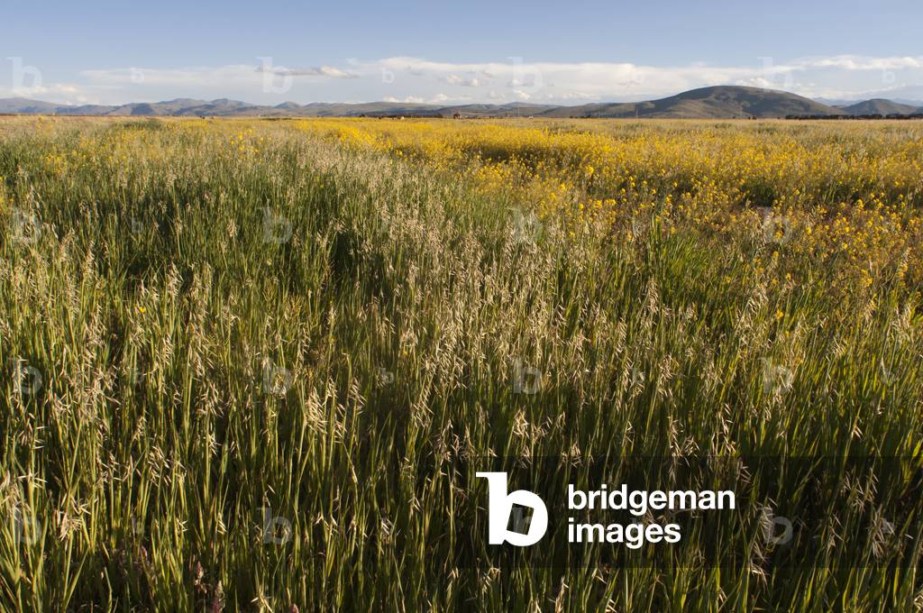 Peru Machu Picchu (photo)
