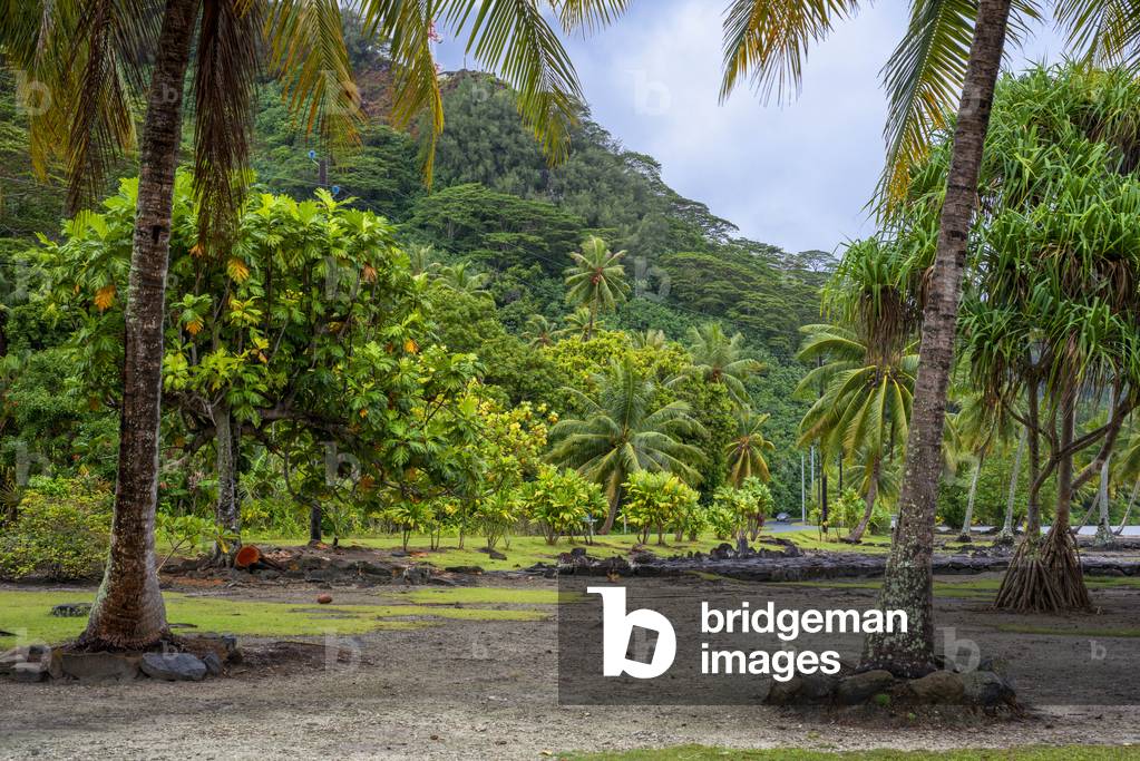 Archaeological site and Marae temple at Maeva, Huahine, Society Islands, French Polynesia, South Pacific, 2020 (photo)