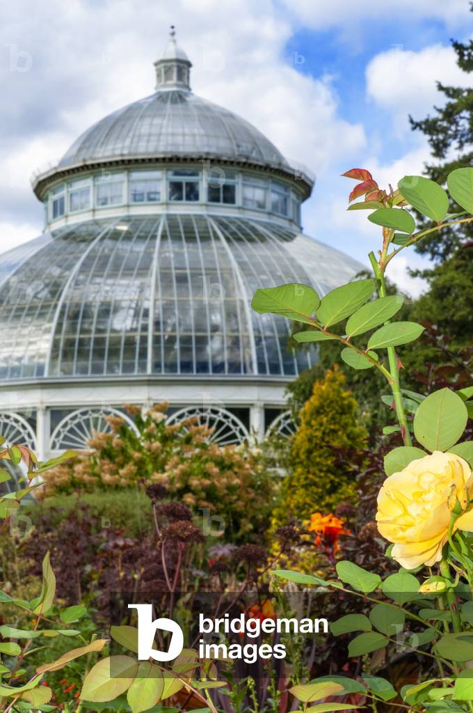 Enid A, Haupt Conservatory and pond with water lilies Greenhouse, New York Botanical Garden, Bronx, New York City, New York State, USA, 2020 (photo)